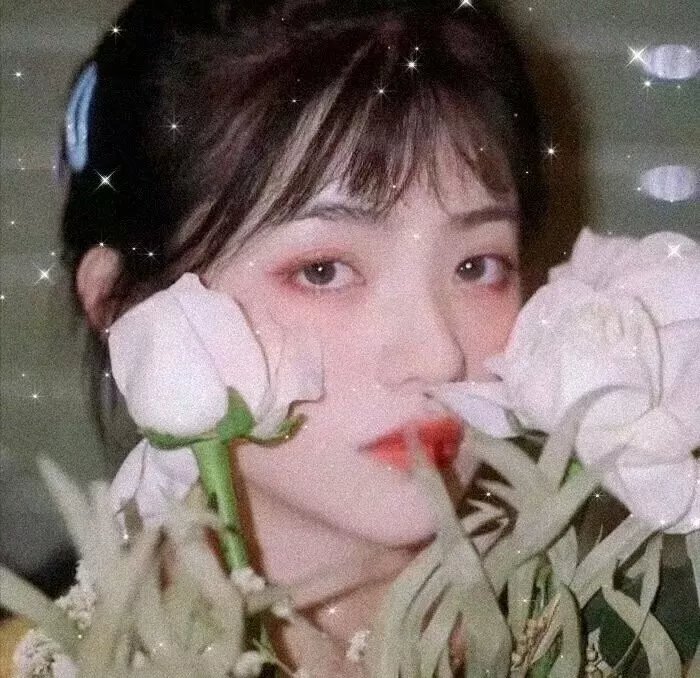 断线森林2