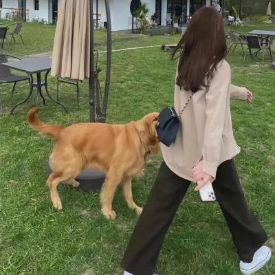 受诅的一代